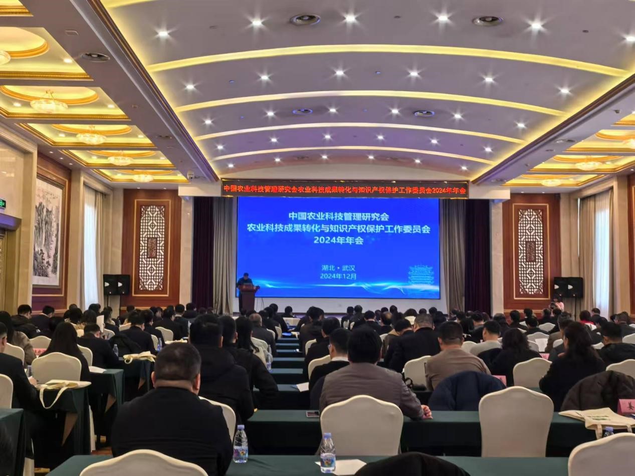图片3.jpg 图片3.jpg